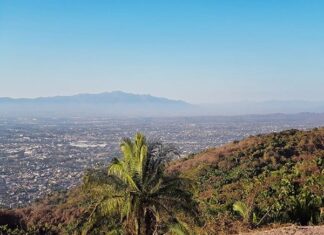 La vista: el mejor platillo del menu