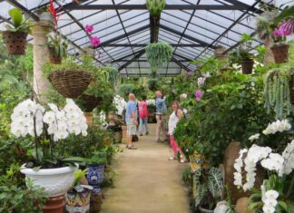 El Jardín Botánico de Vallarta está ASÍ DE CERCA de convertirse en el favorito de los lectores de USA Today