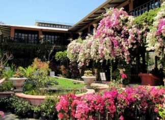 El Jardín Botánico de Vallarta es el favorito nº 4 en la encuesta de USA Today
