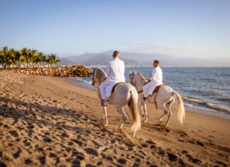 Los hoteles Marriott y Westin dan la bienvenida a las bodas LGBTQ