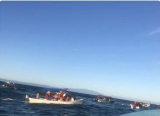 ¡SOS! Delice Party Cruise Sinks, Boats Rush to Save Passengers From Drowning