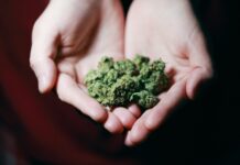 México legalizará la marihuana recreativa