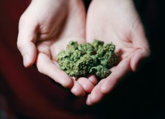 México legalizará la marihuana recreativa