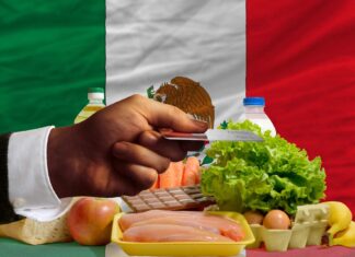 Coste de la vida en Puerto Vallarta comprar alimentos con tarjeta de crédito en méxico
