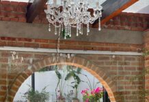 Bonito Kitchen reabrirá sus puertas en Zona Romántica