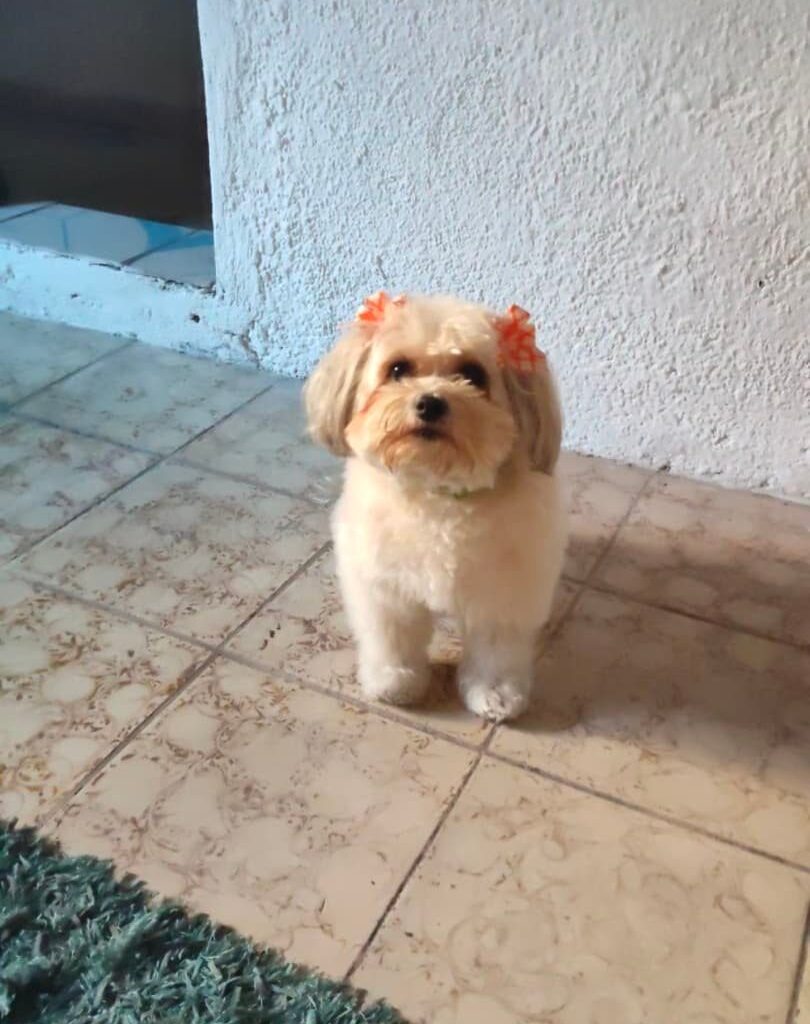 Rosie