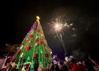 Encendido de árbol en Muelle Los Muertos dará comienzo a festival navideño fuegos artificiales del árbol de navidad 3