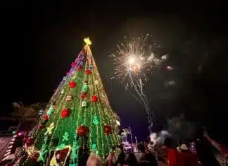 Encendido de árbol en Muelle Los Muertos dará comienzo a festival navideño fuegos artificiales del árbol de navidad 3