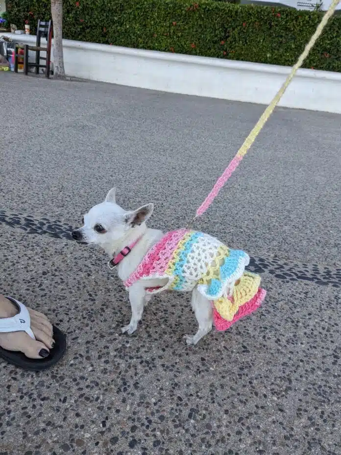 Tómate un momento para crear y celebrar: De paseo por Vallarta lila out and about