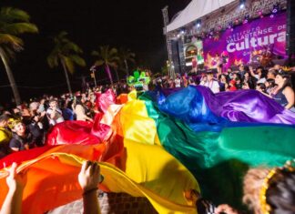 La Red de Diversidad de Vallarta participa en el Carnaval para promover la inclusión Diversity Network big flag