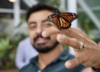 Mariposas, música y más en la inauguración de la exposición interactiva de Maripoza Oscar Soto shares the details on Mariposa's Butterfly Experience, a new interactive exhibit at Puerto Magico. Photo by Oscar Almeida.