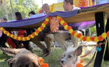 Kukur Tihar: Un Tiempo Paws-itivamente Bueno en Puerto Vallarta kukur dogs