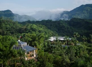 El Jardín Botánico de Vallarta Anuncia Asociación Estratégica de Conservación con Tryst Hotels Aerial photo of Vallarta Botanical Garden