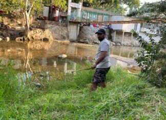 El Mercado del Río Cuale es sometido a una limpieza exhaustiva rio cuale isla