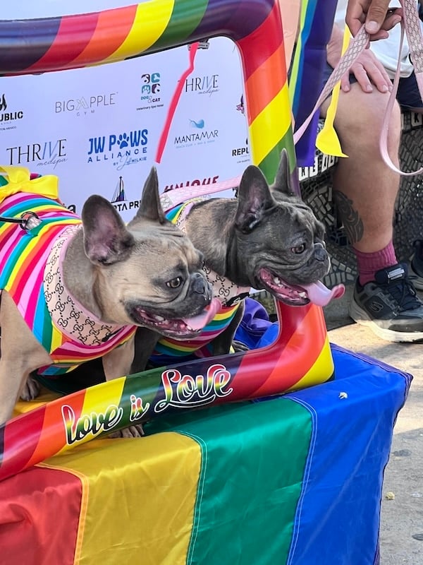 Jerry desfile del orgullo de mascotas