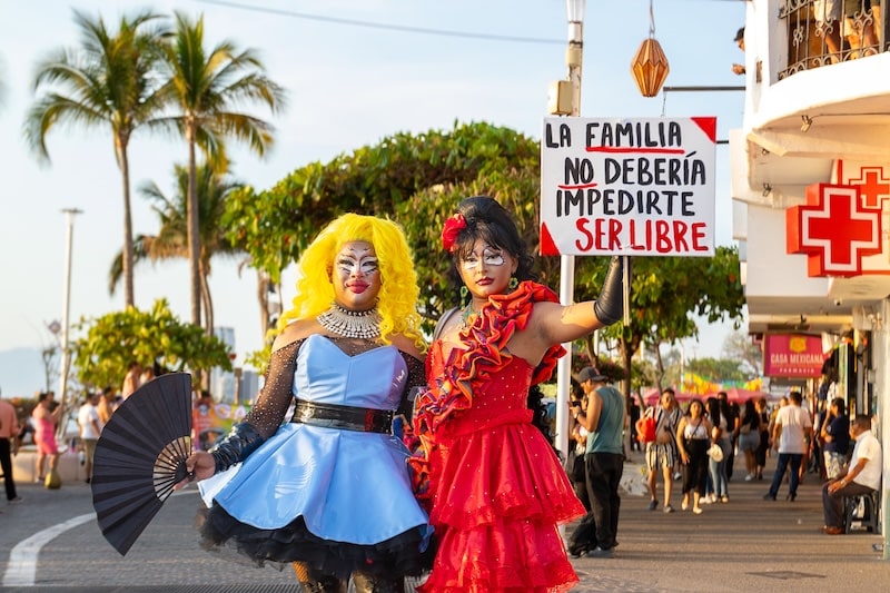 Fotografías del desfile del orgullo 2025 por PVRPV