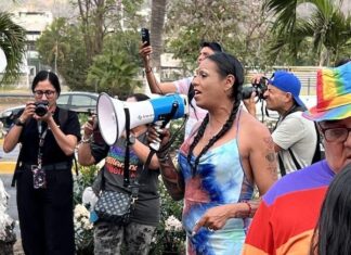 Marcha contra la homofobia da inicio al Orgullo de Vallarta: galería de fotos march against homophobia pride 2025