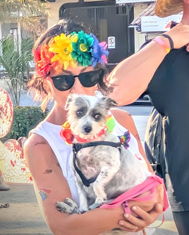 desfile del orgullo de mascotas
