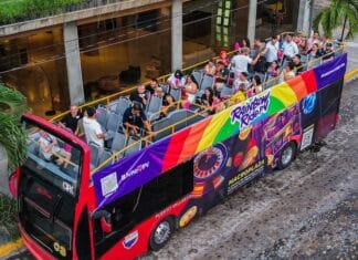 rainbowride pv tour bus