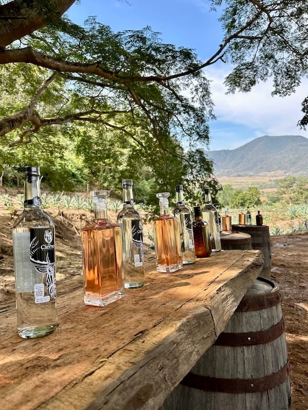 Botellas de Raicilla