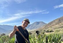 Camino de Raicilla: Saboreando el «nuevo» espíritu de México en los Pueblos Mágicos de Jalisco Romano - Agave