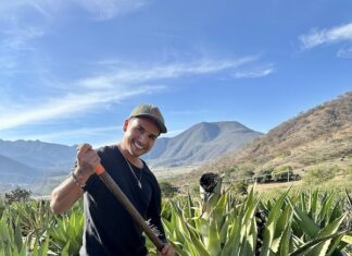 Camino de Raicilla: Saboreando el «nuevo» espíritu de México en los Pueblos Mágicos de Jalisco Romano - Agave