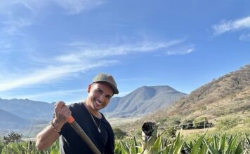 Camino de Raicilla: Saboreando el «nuevo» espíritu de México en los Pueblos Mágicos de Jalisco Romano - Agave