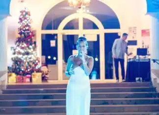 Brillos, regalos y buenas vibraciones – Únase a la fiesta navideña tropical Cantante - Fiesta de Navidad 2024