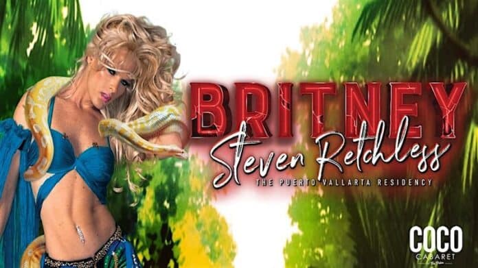 britney spears steven