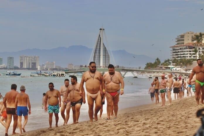 osos en los muertos 2 (1)