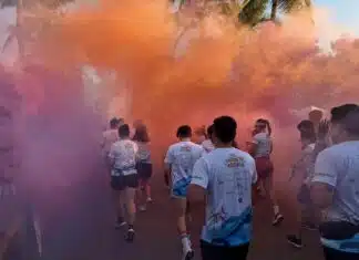 Fotos: La Carrera Rainbow une a la comunidad carrera arco iris 2025 7