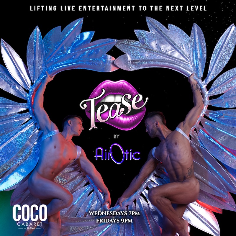 AIROTIC-FLYER