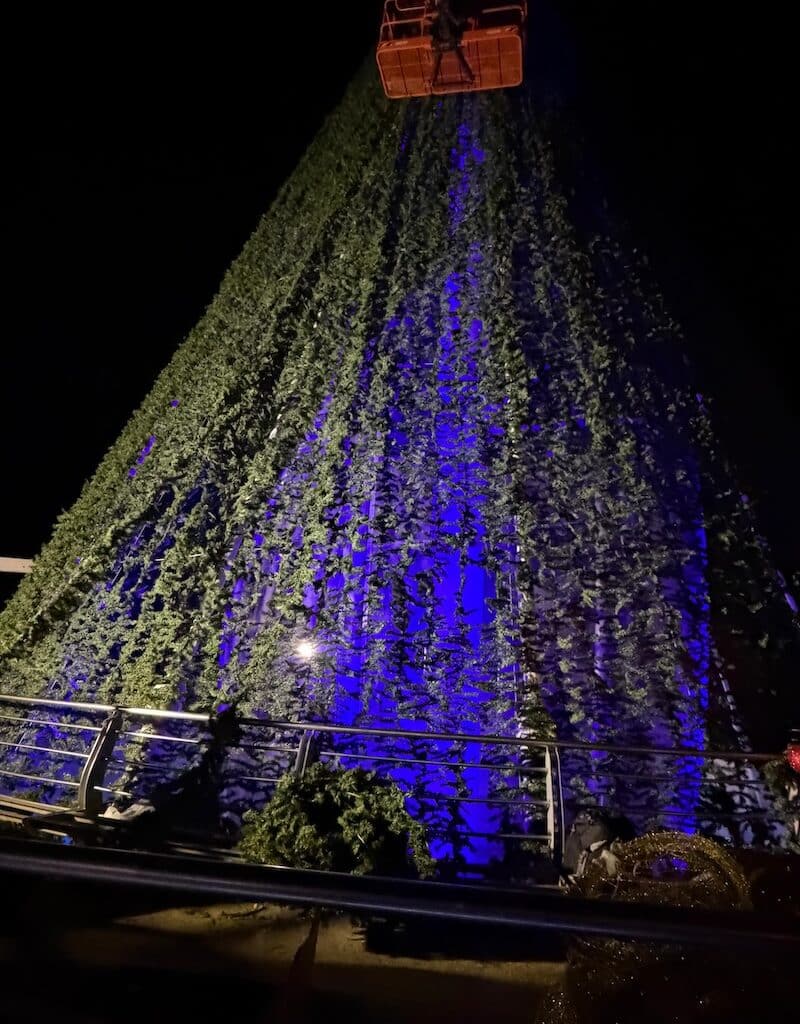 Muelle, árbol de Navidad