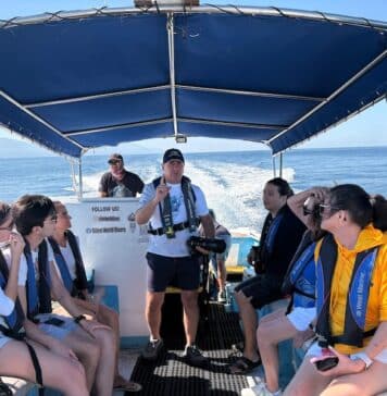 Fotos: Avistamiento de ballenas con Ocean Friendly Tours recorridos respetuosos con el océano