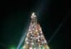 Árbol de Navidad más alto de México se enciende en el Muelle Los Muertos christmas tree los muertos