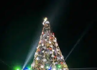 Árbol de Navidad más alto de México se enciende en el Muelle Los Muertos christmas tree los muertos