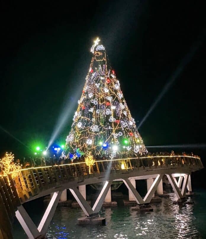 Árbol de Navidad más alto de México se enciende en el Muelle Los Muertos christmas tree los muertos