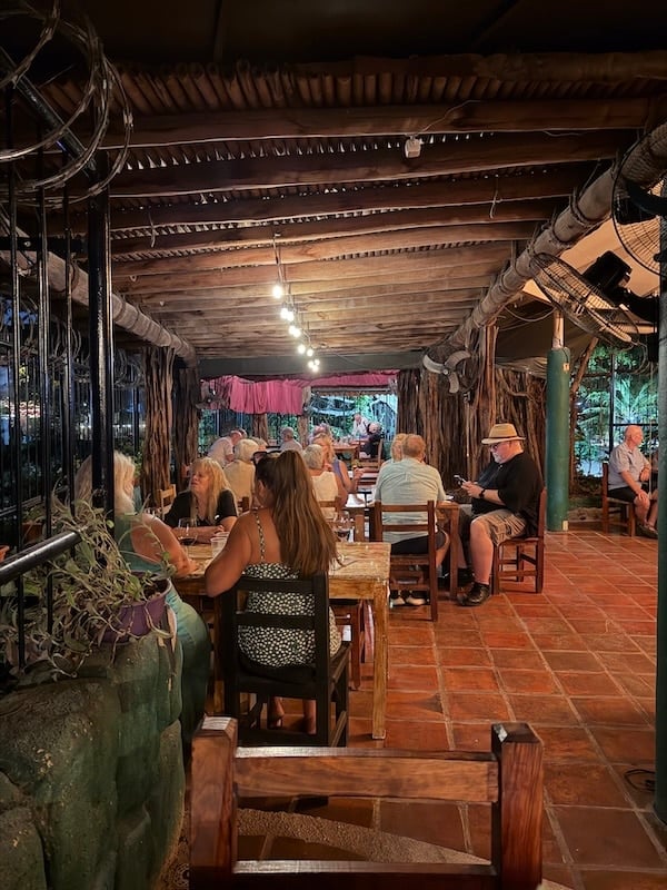 vista lateral indio rico