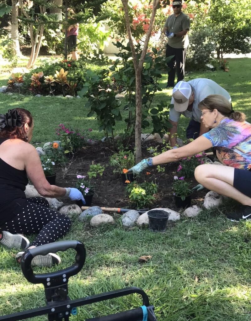 club de jardinería de vallarta