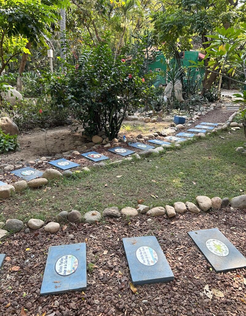 club de jardinería stepping stones vallarta