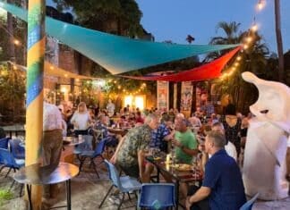 Fotos: Arte Vallarta Primer Sábado de Enero 2026 arte vallarta FS 2