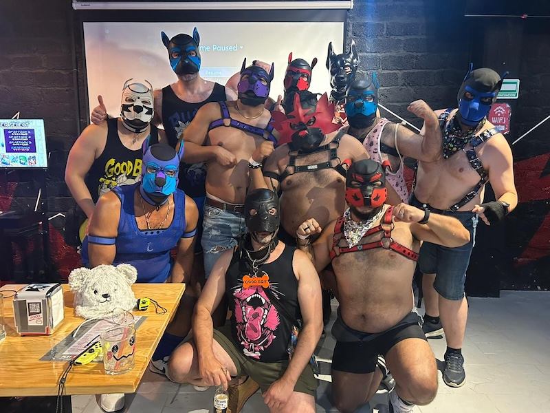 Semana del oso de patio