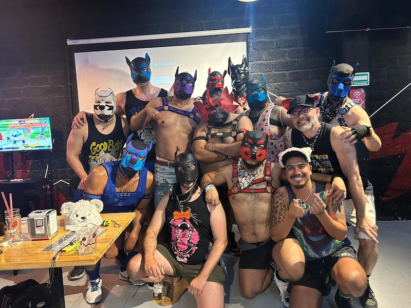 Semana del oso de patio