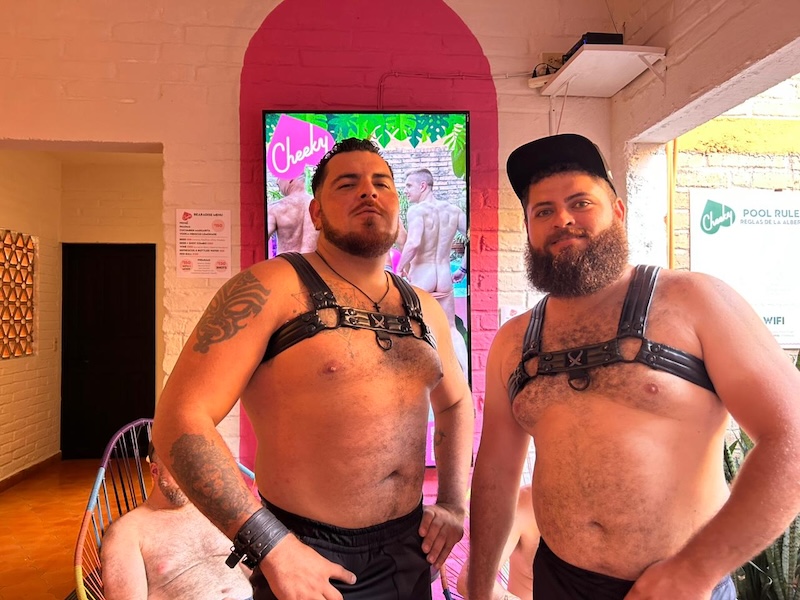 bearadise 2026