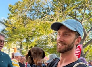 Fotos: Primer desfile de mascotas de San Valentín de Puppy Love desfile de mascotas de san valentín 2026