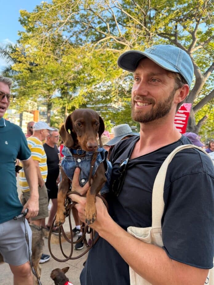 desfile de mascotas de san valentín 2026