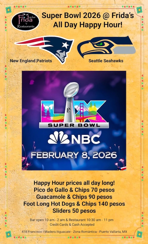 bar frida superbowl watch