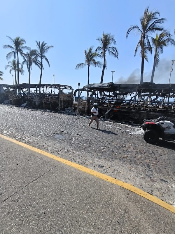 autobuses en el malecón