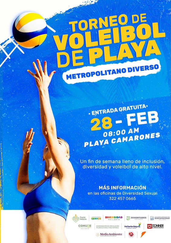 cartel para voleibol
