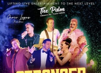 Los artistas unen sus fuerzas para apoyar al Centro Comunitario Gay+ de Vallarta gráfico revisado "stronger together